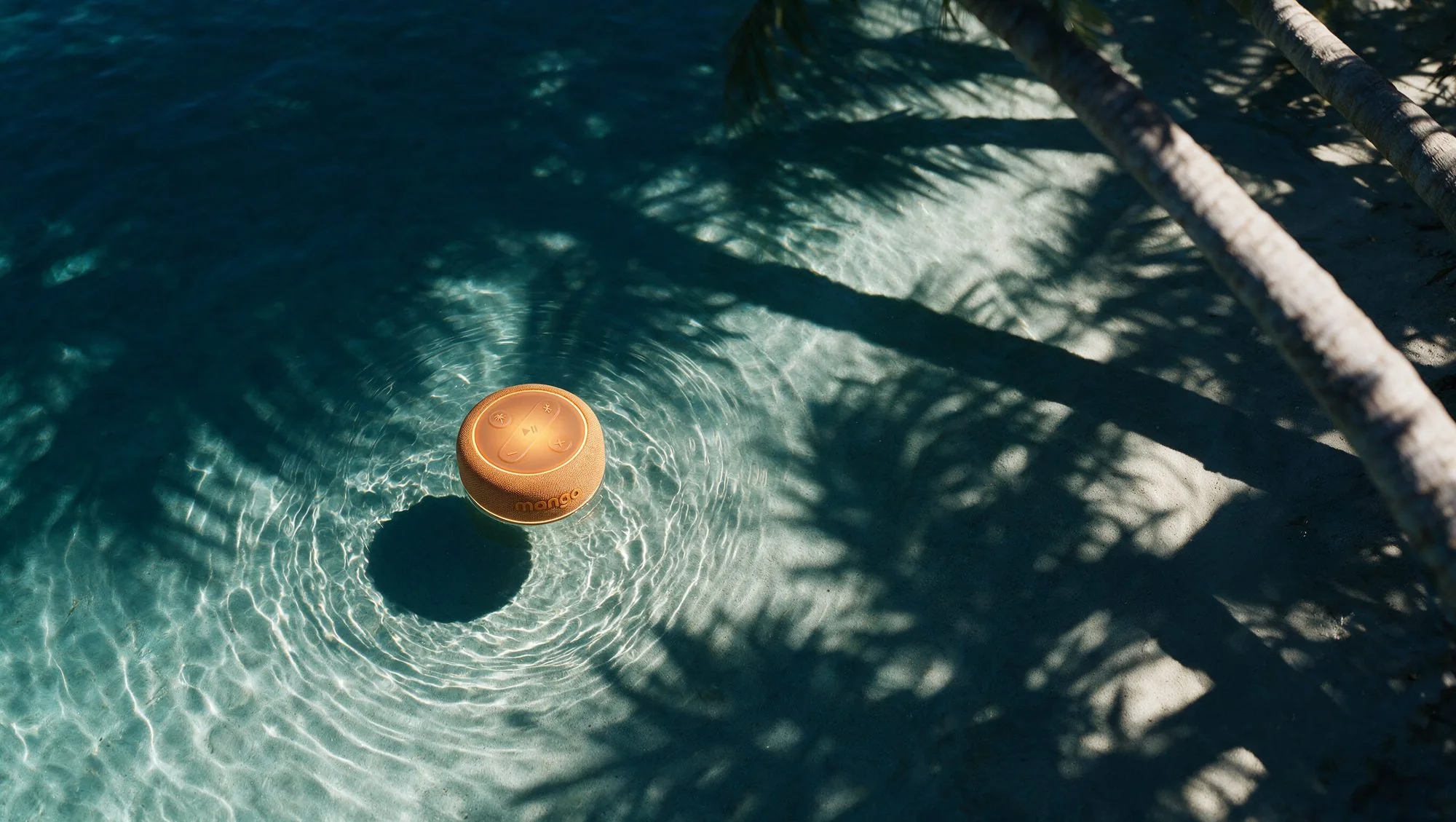 Mango floating at dusk